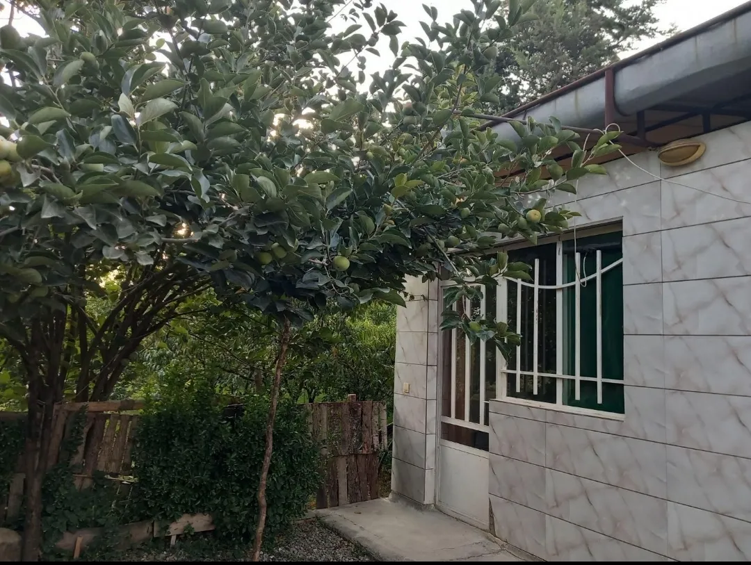 اجاره سوئیت  خوابه  جنگلی رامیان