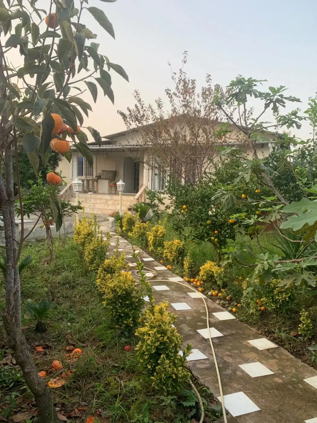 اجاره ویلا یک خوابه جنگلی خرم‌آباد (تنکابن)